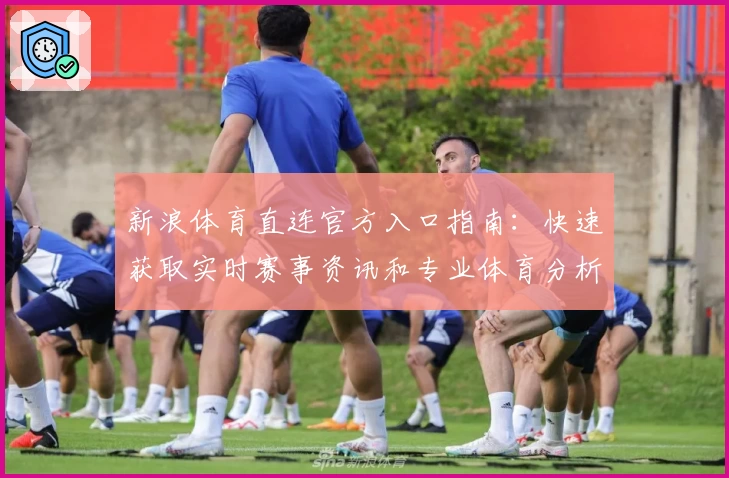 新浪体育直连官方入口指南：快速获取实时赛事资讯和专业体育分析