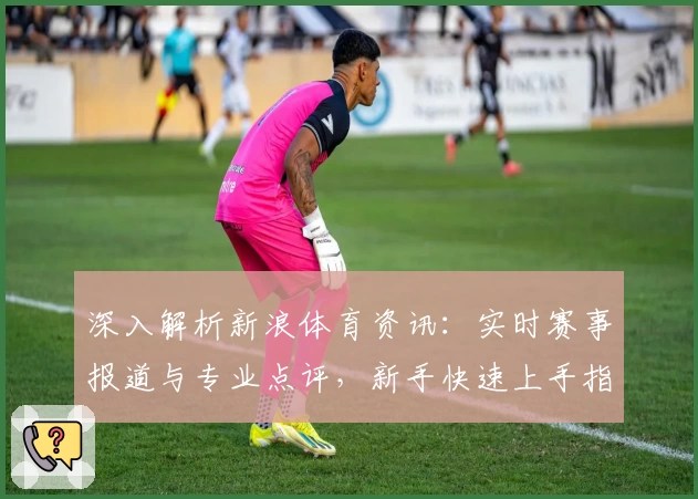 深入解析新浪体育资讯：实时赛事报道与专业点评，新手快速上手指南