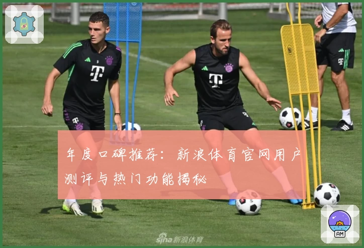 年度口碑推荐：新浪体育官网用户测评与热门功能揭秘