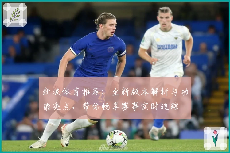 新浪体育推荐：全新版本解析与功能亮点，带你畅享赛事实时追踪