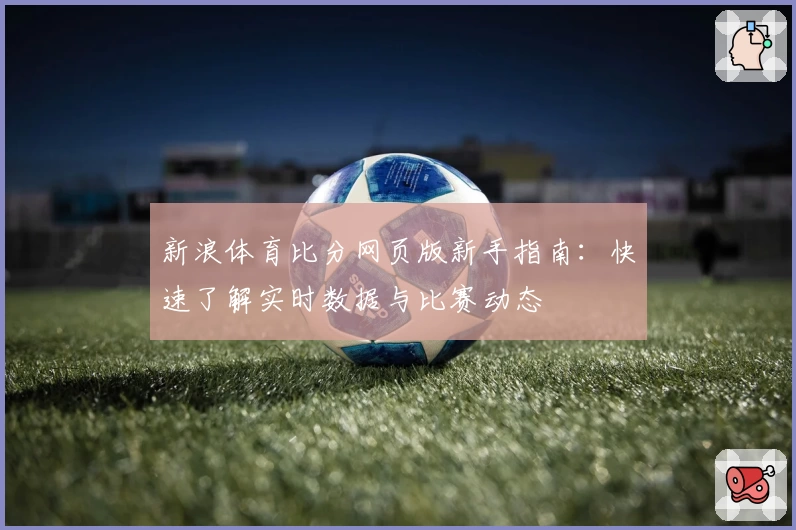 新浪体育比分网页版新手指南：快速了解实时数据与比赛动态