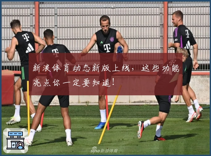 新浪体育动态新版上线,这些功能亮点你一定要知道!