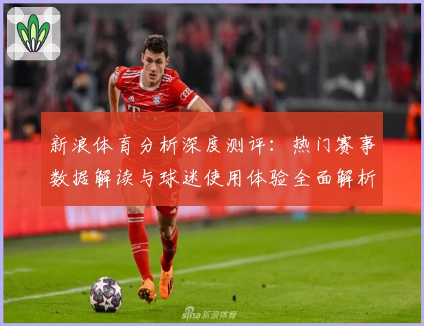 新浪体育分析深度测评：热门赛事数据解读与球迷使用体验全面解析