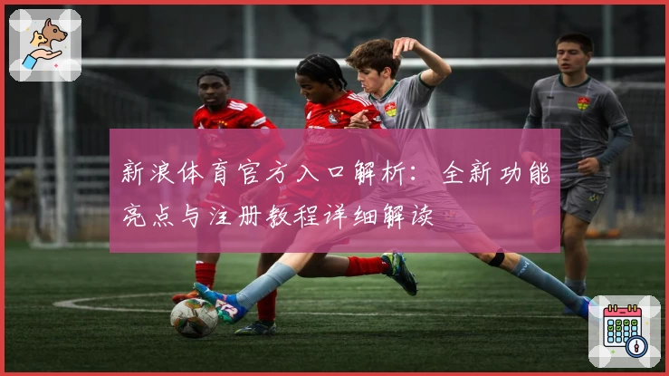 新浪体育官方入口解析：全新功能亮点与注册教程详细解读