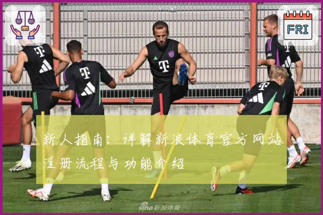 新人指南：详解新浪体育官方网站注册流程与功能介绍