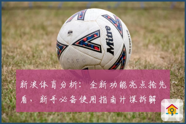 新浪体育分析:全新功能亮点抢先看,新手必备使用指南计谋拆解