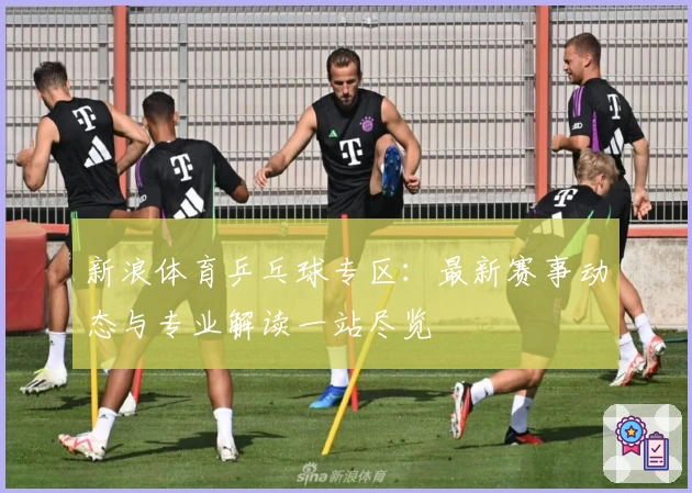 新浪体育乒乓球专区:最新赛事动态与专业解读一站尽览