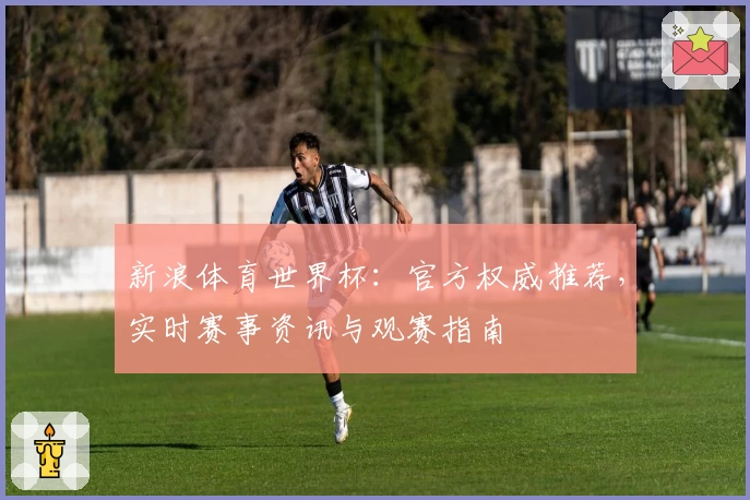 新浪体育世界杯：官方权威推荐，实时赛事资讯与观赛指南