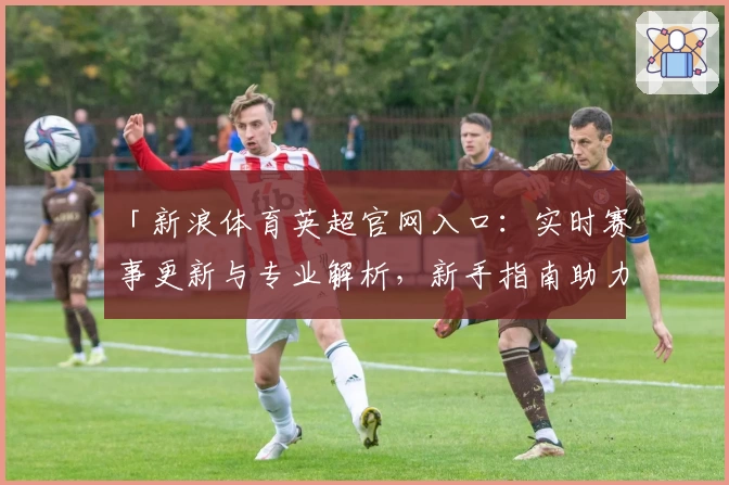 「新浪体育英超官网入口：实时赛事更新与专业解析，新手指南助力全面了解」