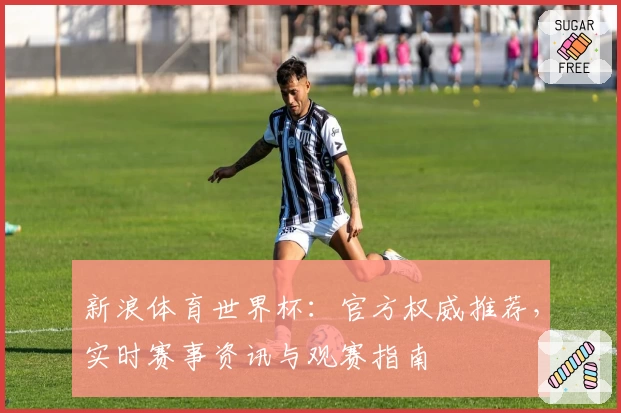 新浪体育世界杯：官方权威推荐，实时赛事资讯与观赛指南