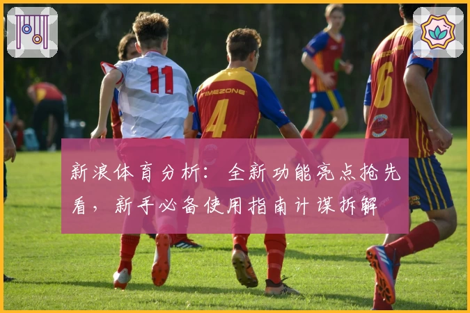 新浪体育分析：全新功能亮点抢先看，新手必备使用指南计谋拆解