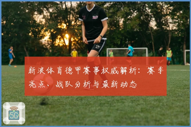 新浪体育德甲赛事权威解析：赛季亮点、战队分析与最新动态