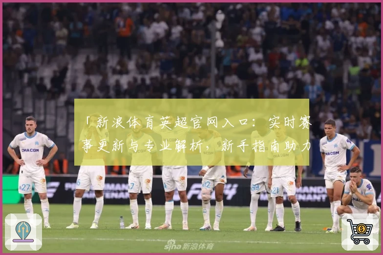 「新浪体育英超官网入口：实时赛事更新与专业解析，新手指南助力全面了解」