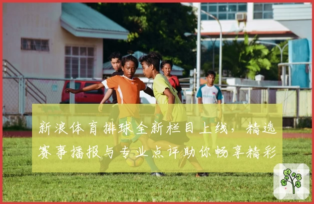 新浪体育排球全新栏目上线，精选赛事播报与专业点评助你畅享精彩排坛瞬间